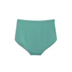 Jockey Women's Worry Free Cotton Stretch Moderate Absorbency Brief -Jockey Store GUEST 84949c14 af57 425a bb66 48d4df49de53