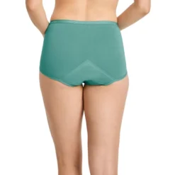 Jockey Women's Worry Free Cotton Stretch Heavy Absorbency Brief